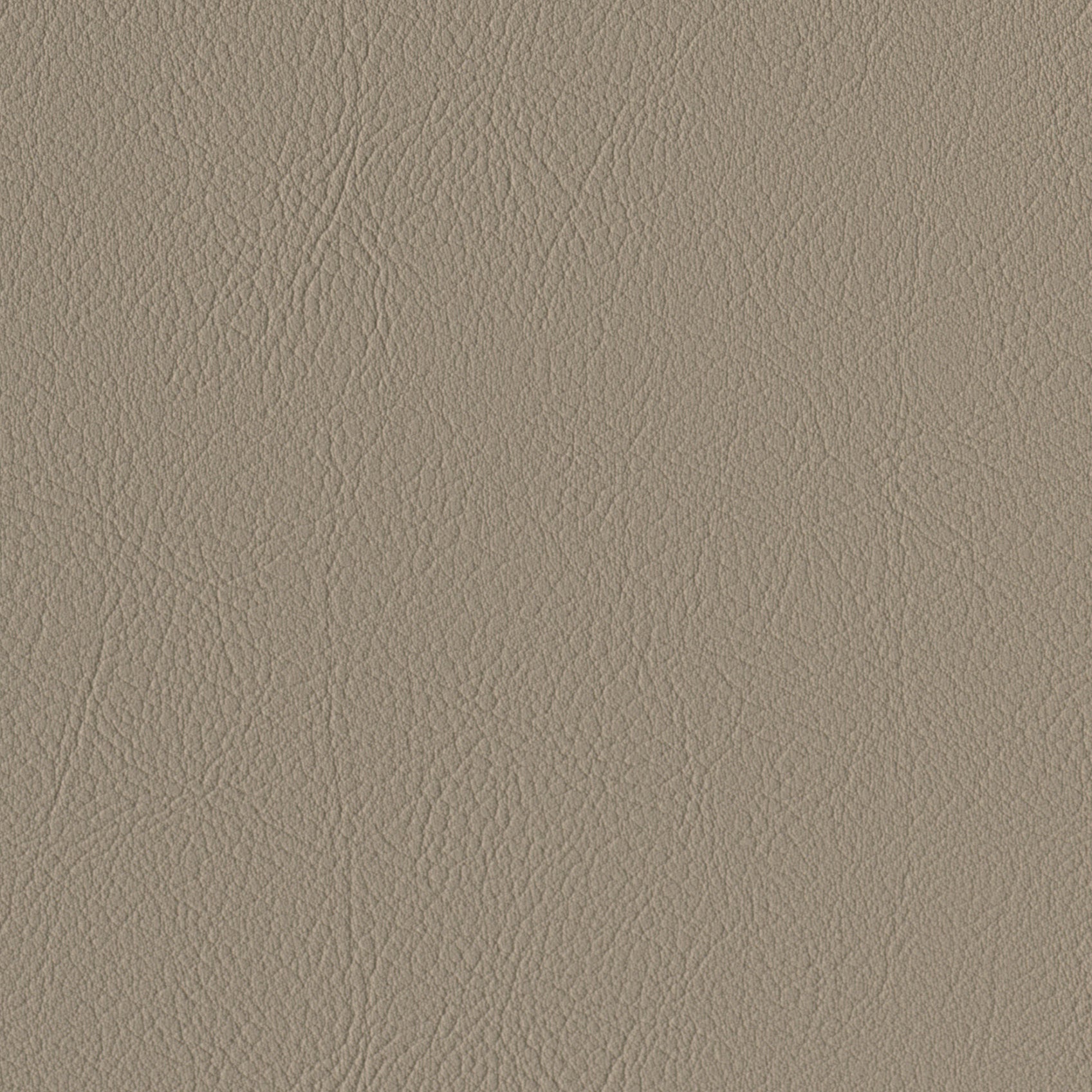 Andriali-Contract-Vinyl_Upholstery-Design-LegacyFR-Color-030Beaver-Width-140cm