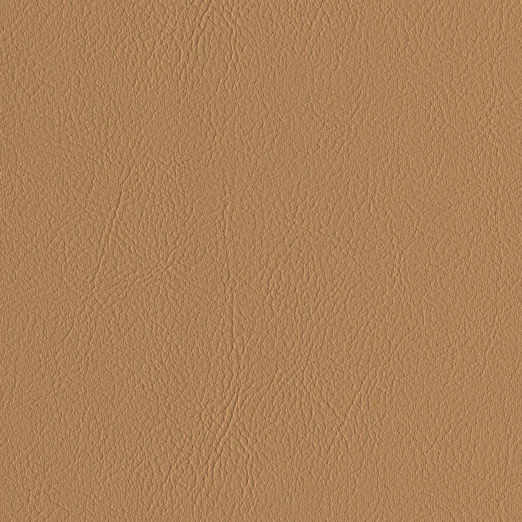 Andriali-Contract-Vinyl_Upholstery-Design-LegacyFR-Color-032DoubleLatte-Width-140cm