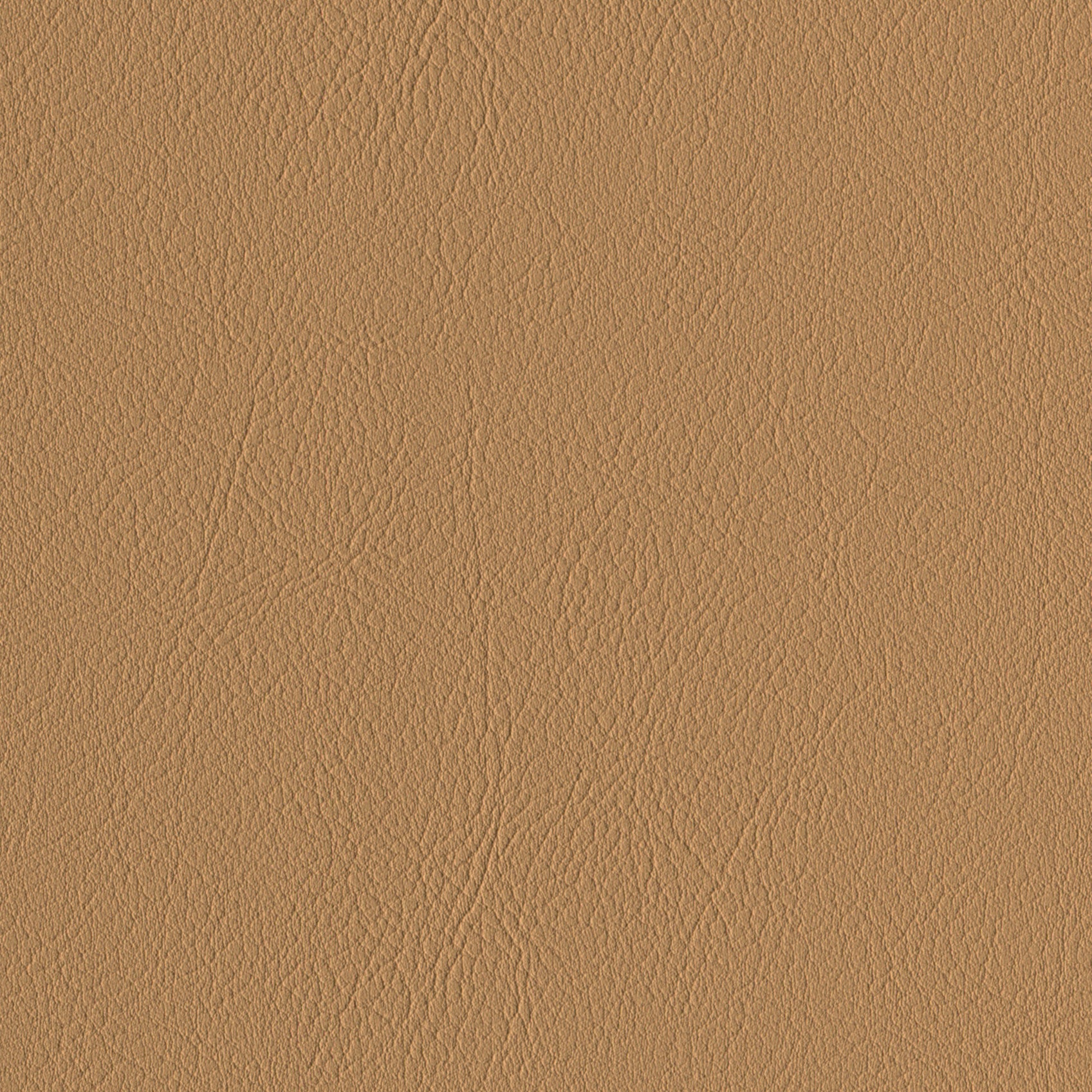    Andriali-Contract-Vinyl_Upholstery-Design-LegacyFR-Color-032DoubleLatte-Width-140cm