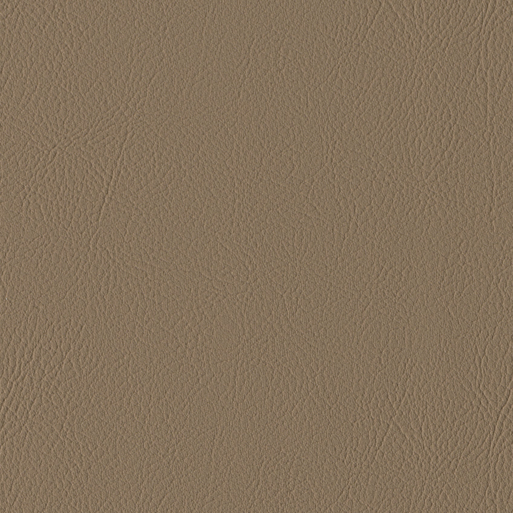 Andriali-Contract-Vinyl_Upholstery-Design-LegacyFR-Color-033Latte-Width-140cm