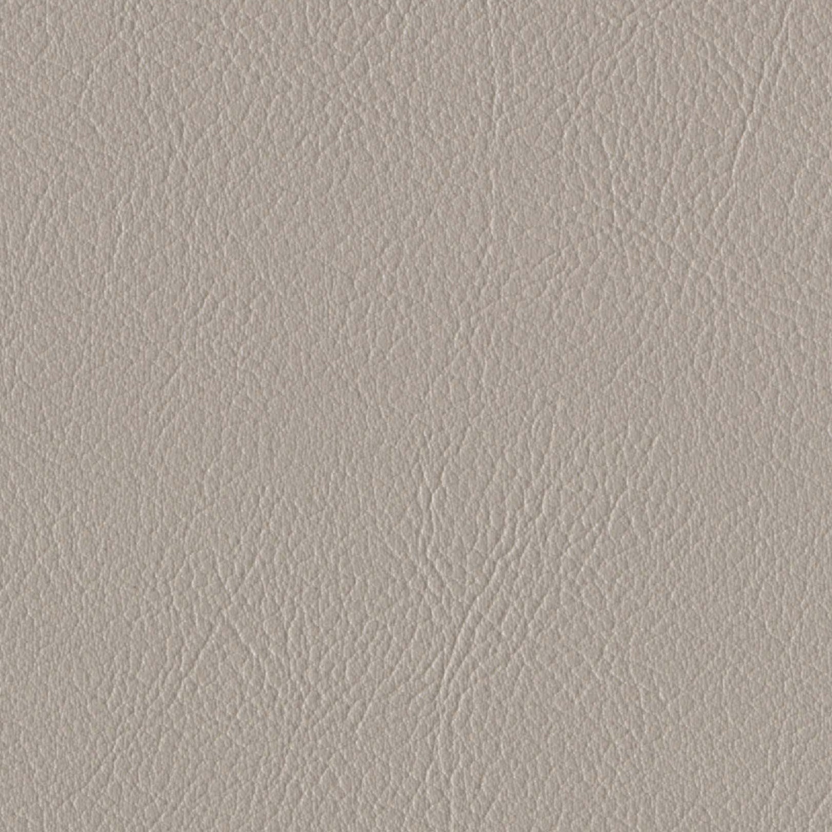 Andriali-Contract-Vinyl_Upholstery-Design-LegacyFR-Color-035CenturyBeige-Width-140cm
