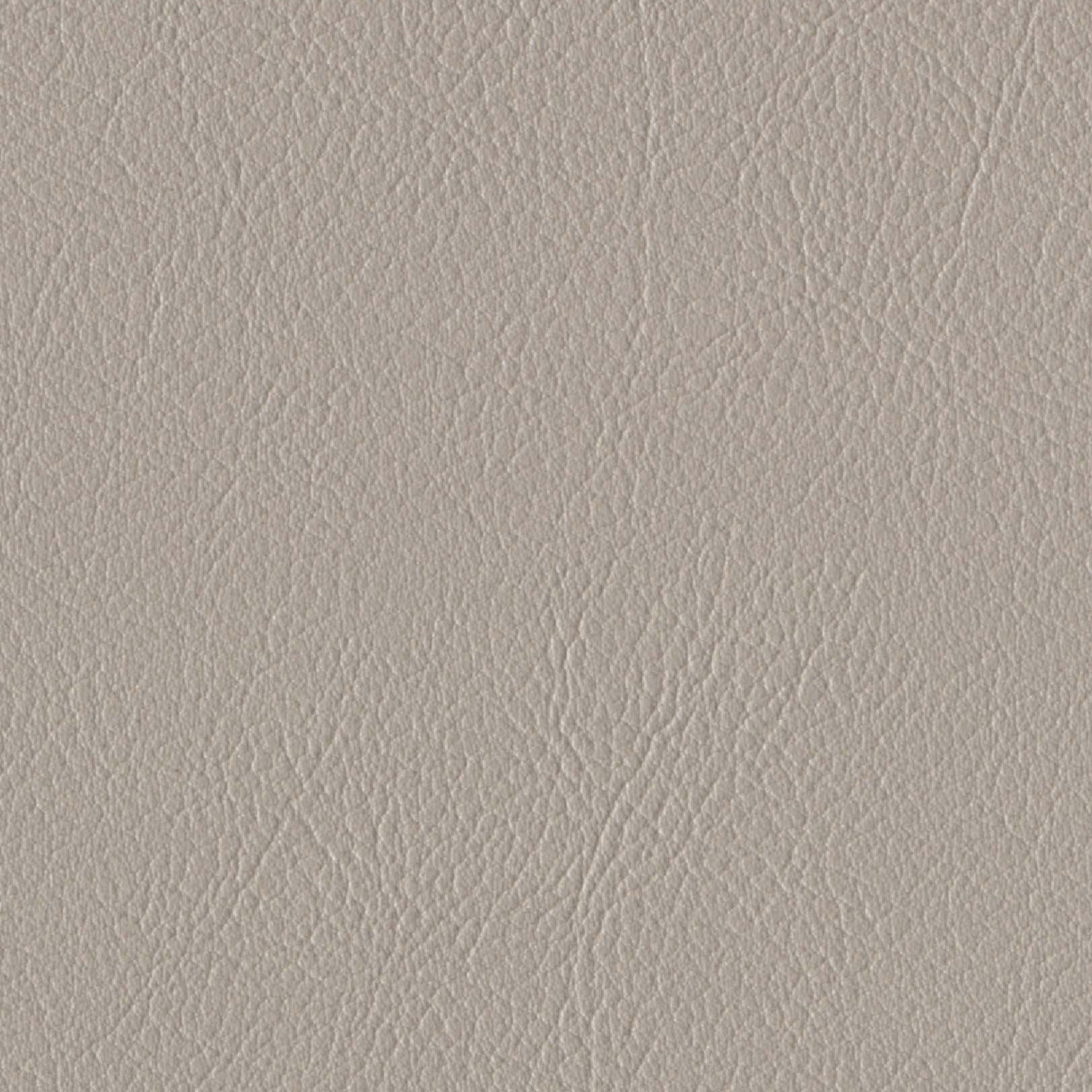 Andriali-Contract-Vinyl_Upholstery-Design-LegacyFR-Color-035CenturyBeige-Width-140cm