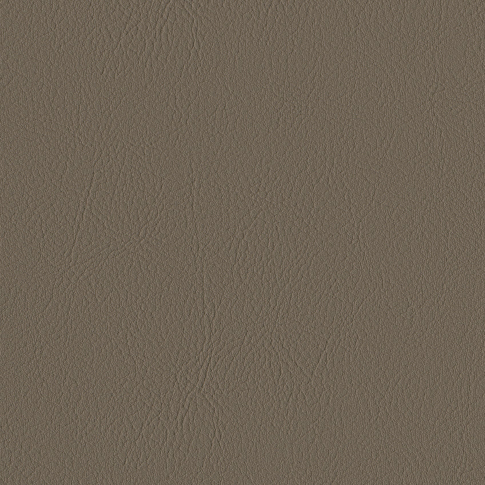 Andriali-Contract-Vinyl_Upholstery-Design-LegacyFR-Color-037Stone-Width-140cm