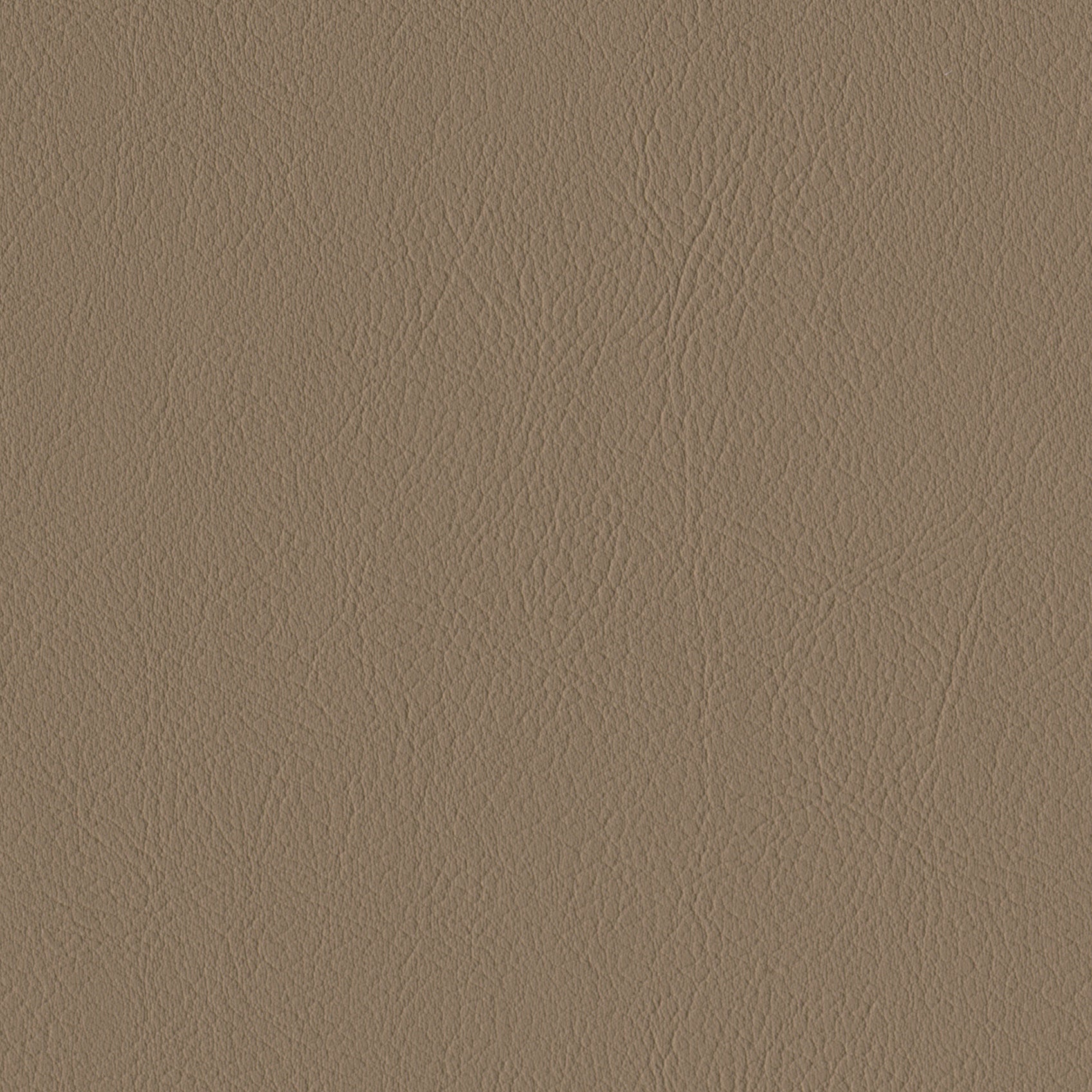 Andriali-Contract-Vinyl_Upholstery-Design-LegacyFR-Color-039IrishElk-Width-140cm