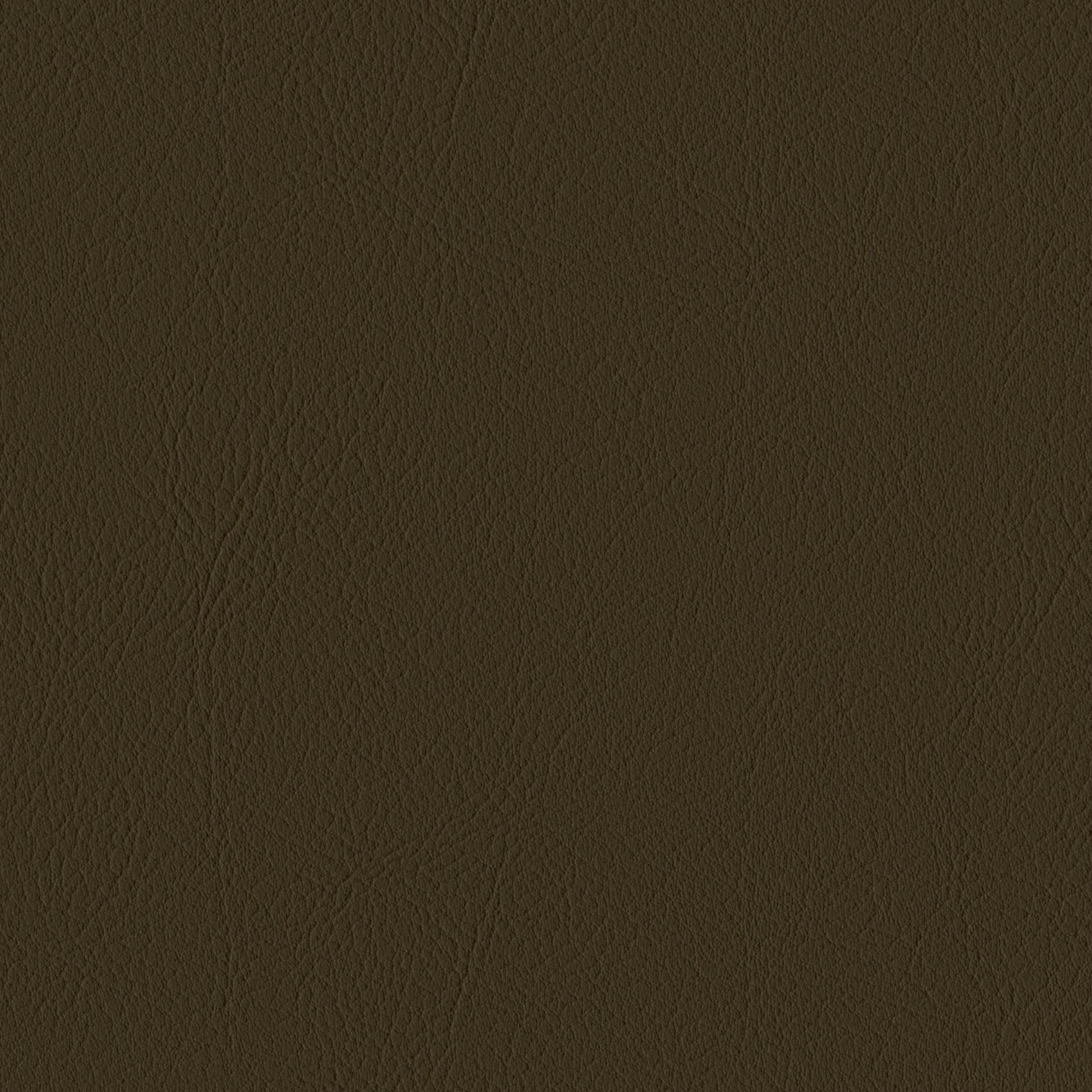 Andriali-Contract-Vinyl_Upholstery-Design-LegacyFR-Color-060RipeOlive-Width-140cm