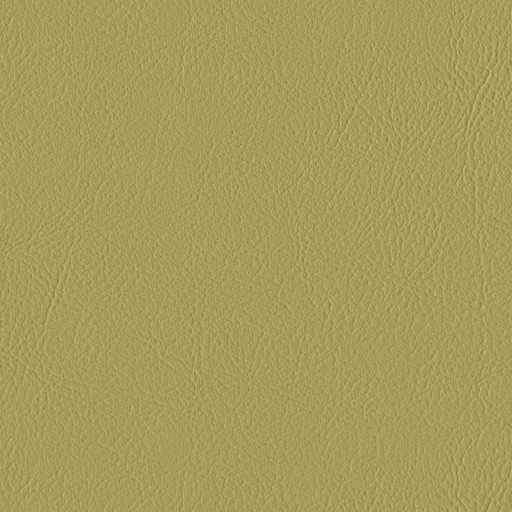 Andriali-Contract-Vinyl_Upholstery-Design-LegacyFR-Color-116Oyster-Width-140cm