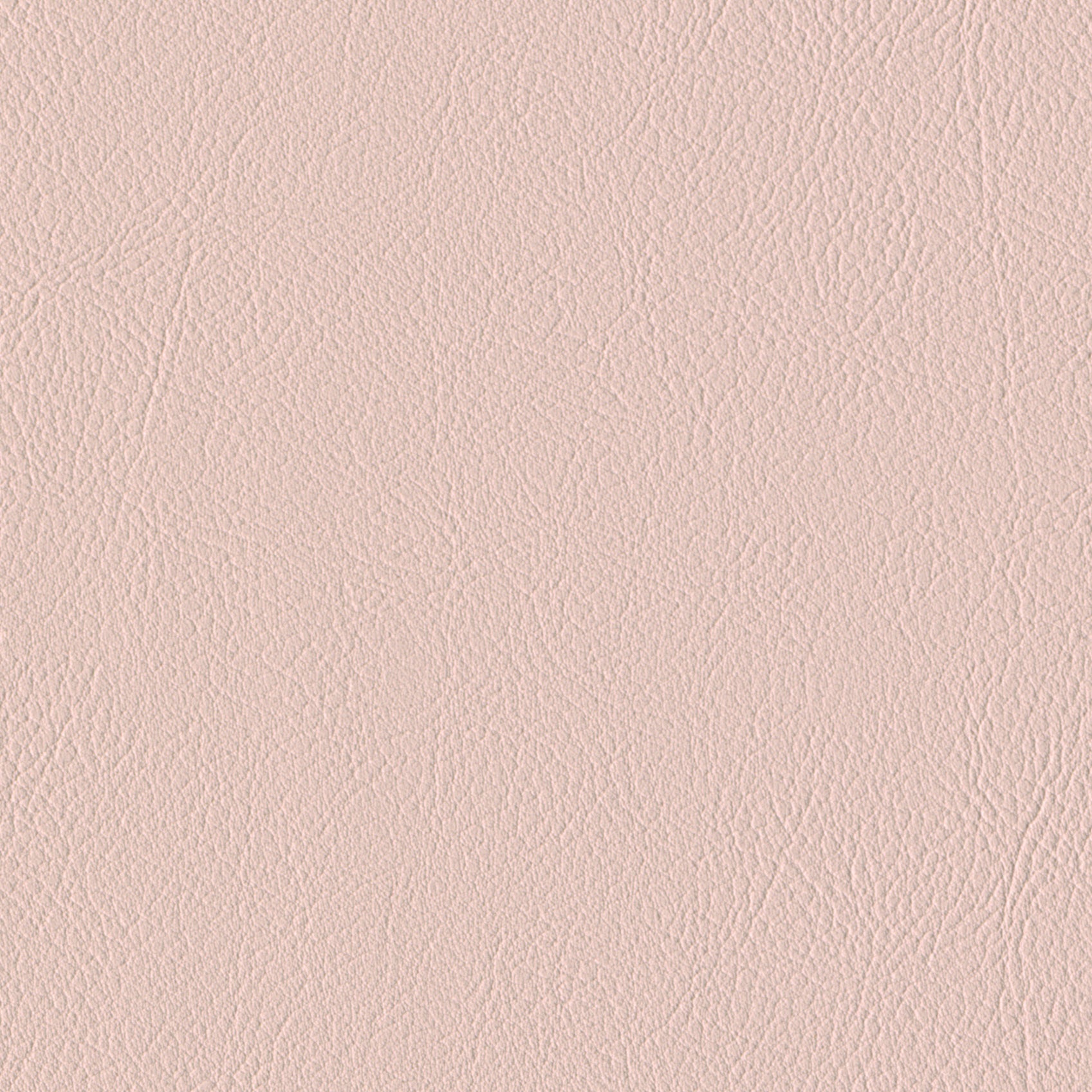 Andriali-Contract-Vinyl_Upholstery-Design-LegacyFR-Color-205Powder-Width-140cm