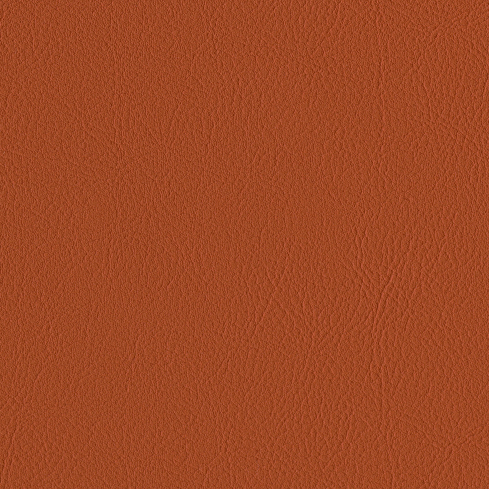 Andriali-Contract-Vinyl_Upholstery-Design-LegacyFR-Color-240Squash-Width-140cm