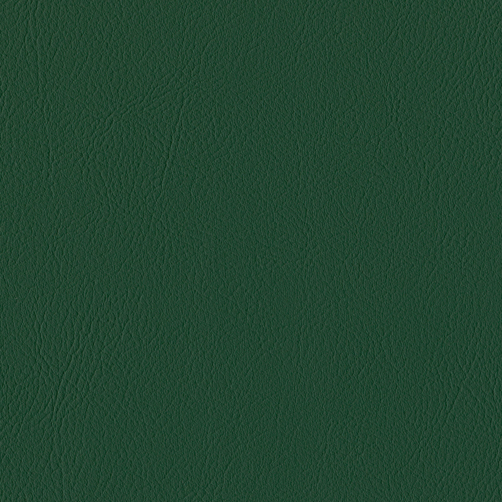 Andriali-Contract-Vinyl_Upholstery-Design-LegacyFR-Color-420Duck-Width-140cm