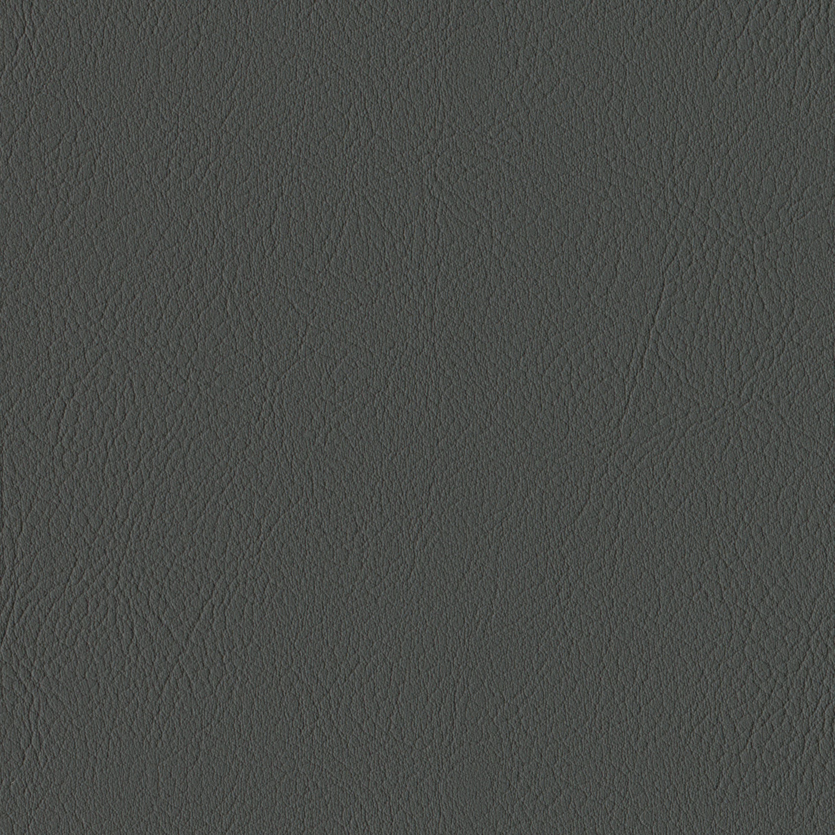 Andriali-Contract-Vinyl_Upholstery-Design-LegacyFR-Color-621Rock-Width-140cm