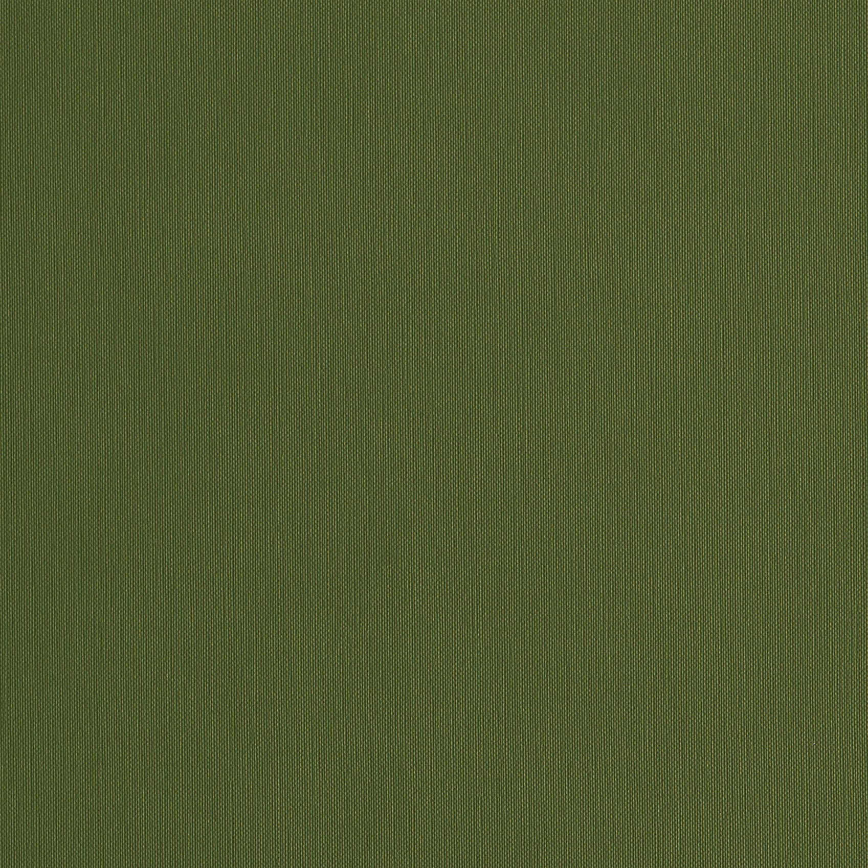 Andriali-Contract-Vinyl_Upholstery-Design-LegendFR-FR5-Color-410Pistachio-Width-140cm