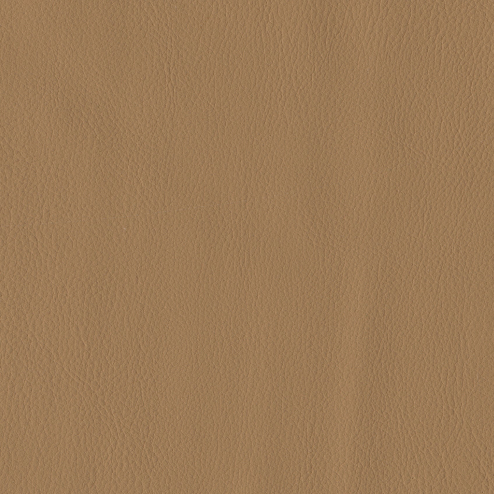 Andriali-Contract-Vinyl_Upholstery-Design-SultanFR-5-Color-025Butter-Width-140cm