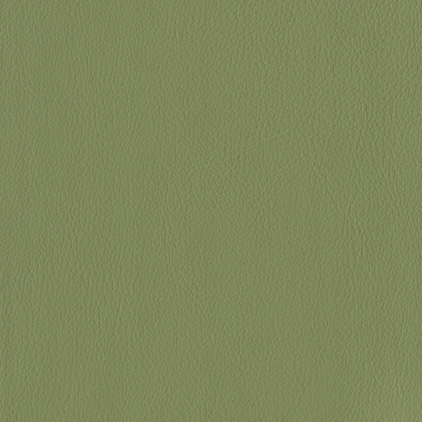 Andriali-Contract-Vinyl_Upholstery-Design-SultanFR-5-Color-410Cactus-Width-140cm