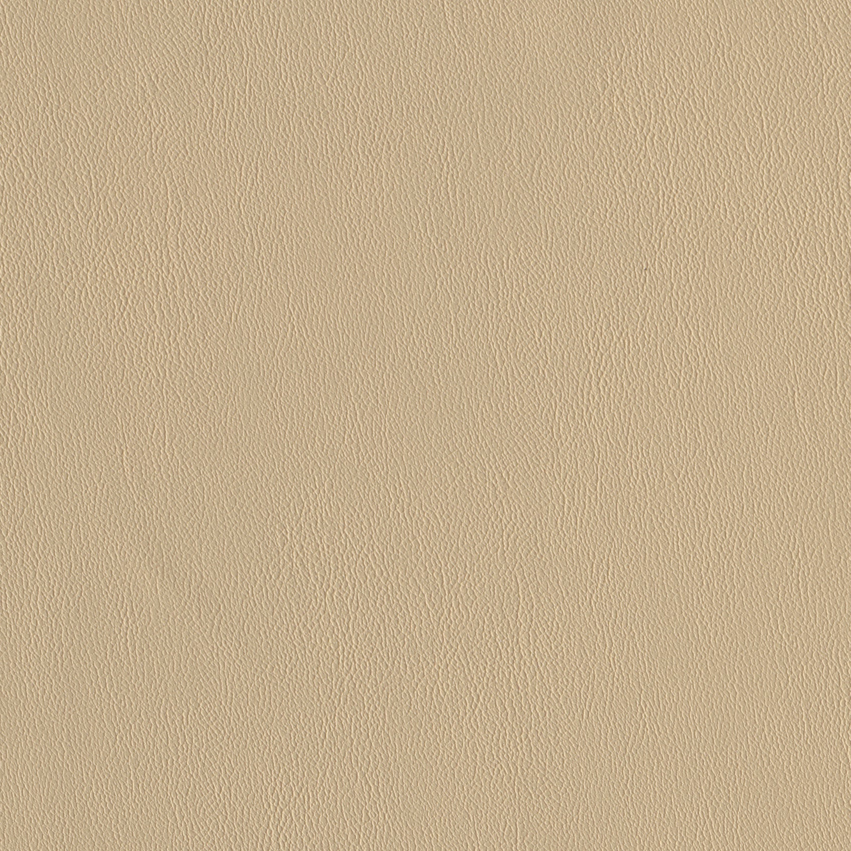 Andriali-Contract-Vinyl_Upholstery-Design-WesternFR5-Color-015Rye-Width-140cm-
