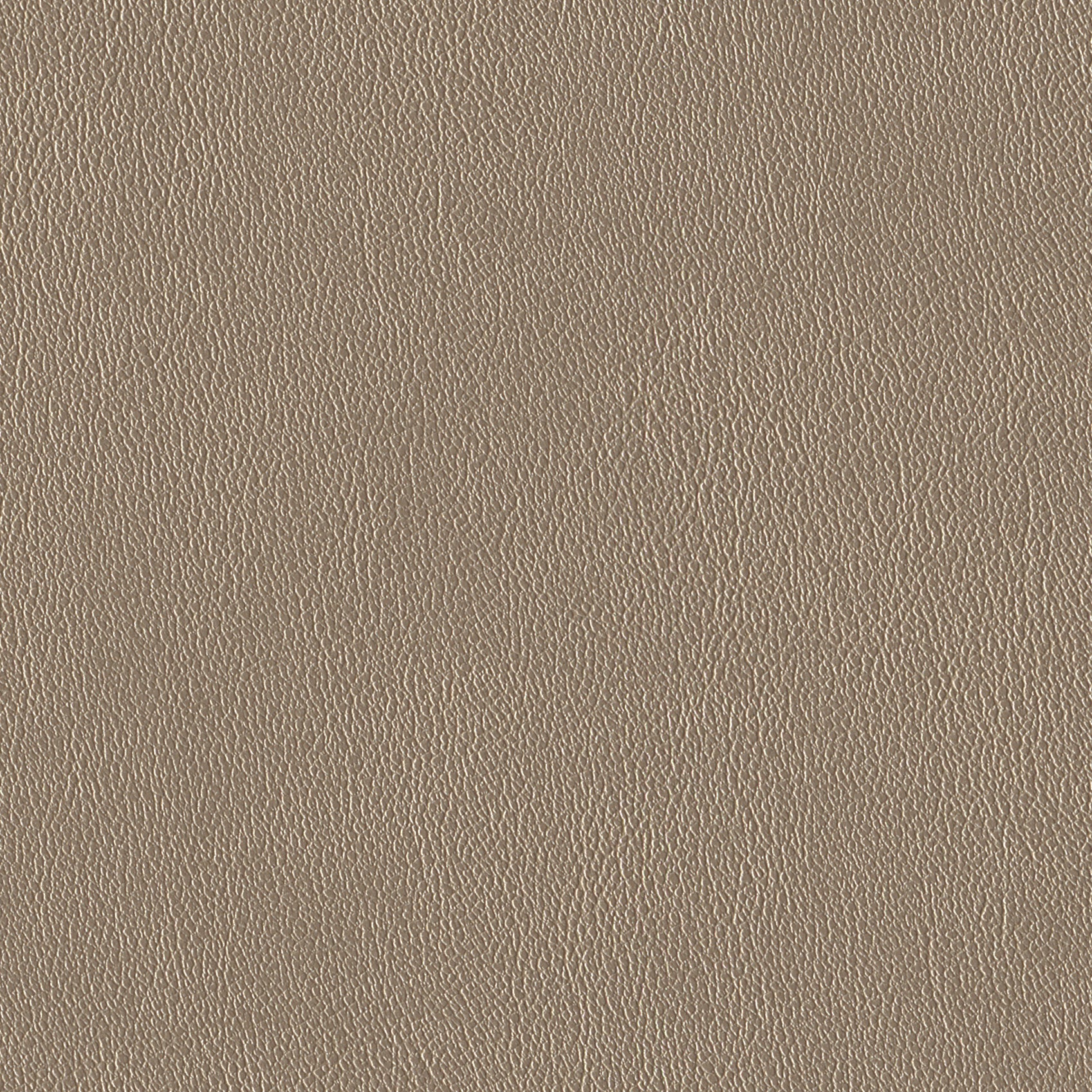 Andriali-Contract-Vinyl_Upholstery-Design-WesternFR5-Color-017Champagne-Width-140cm