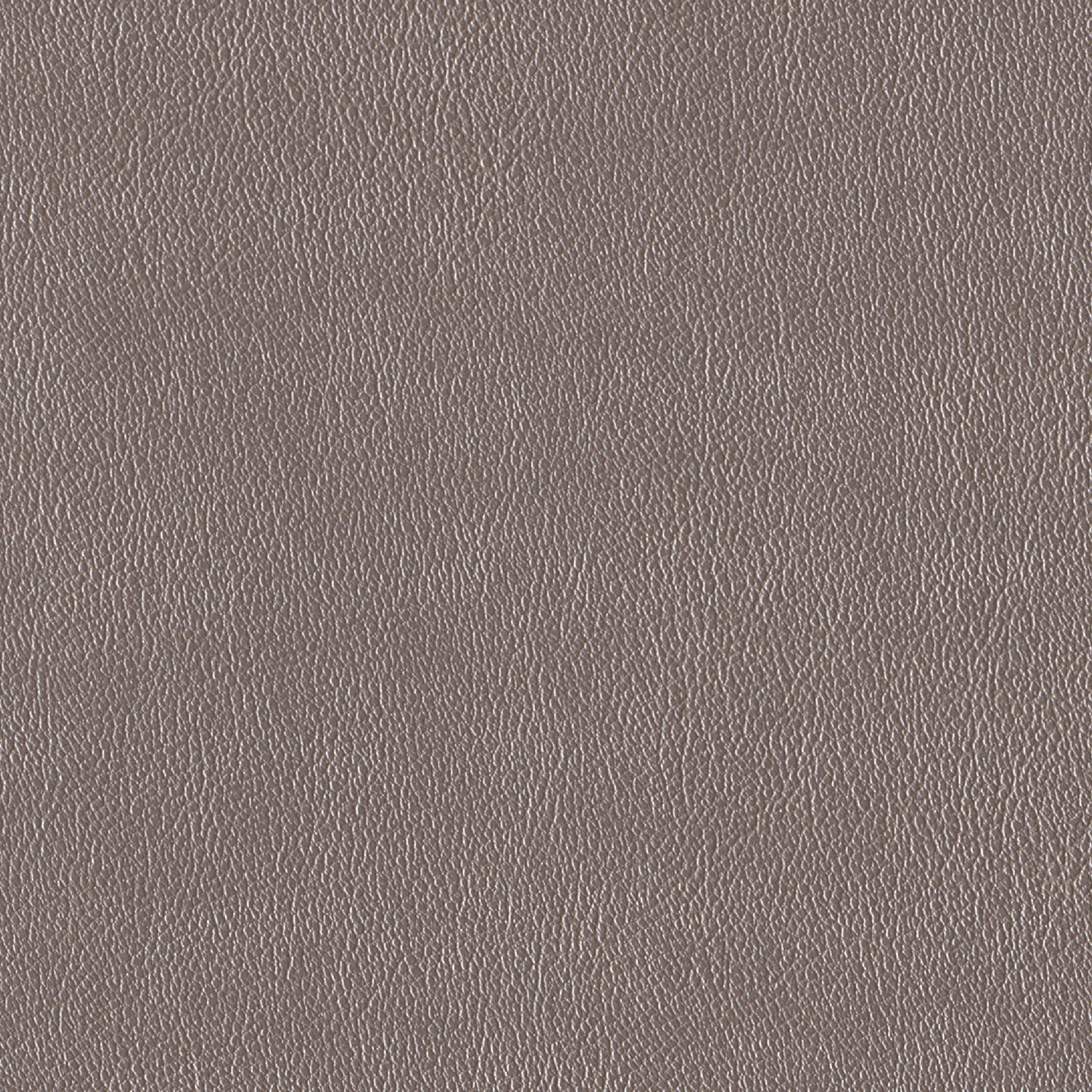 Andriali-Contract-Vinyl_Upholstery-Design-WesternFR5-Color-150Platinum-Width-140cm