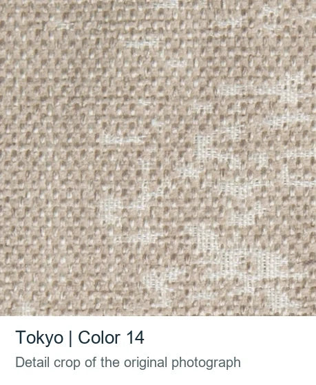 Detail crop from the existing photograph of Andriali Contract Tokyo, color 14.