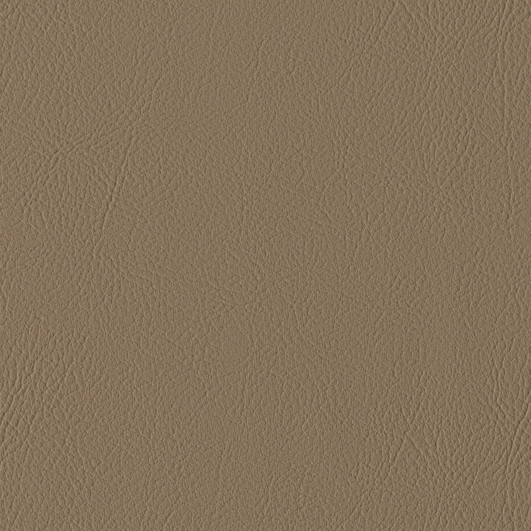    Andriali-Contract-Vinyl_Upholstery-Design-LegacyFR-Color-033Latte-Width-140cm