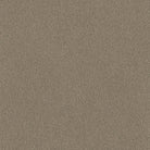 Andriali-Contract-Vinyl_Upholstery-Design-Serenity-Color-305Barley-Width-140cm