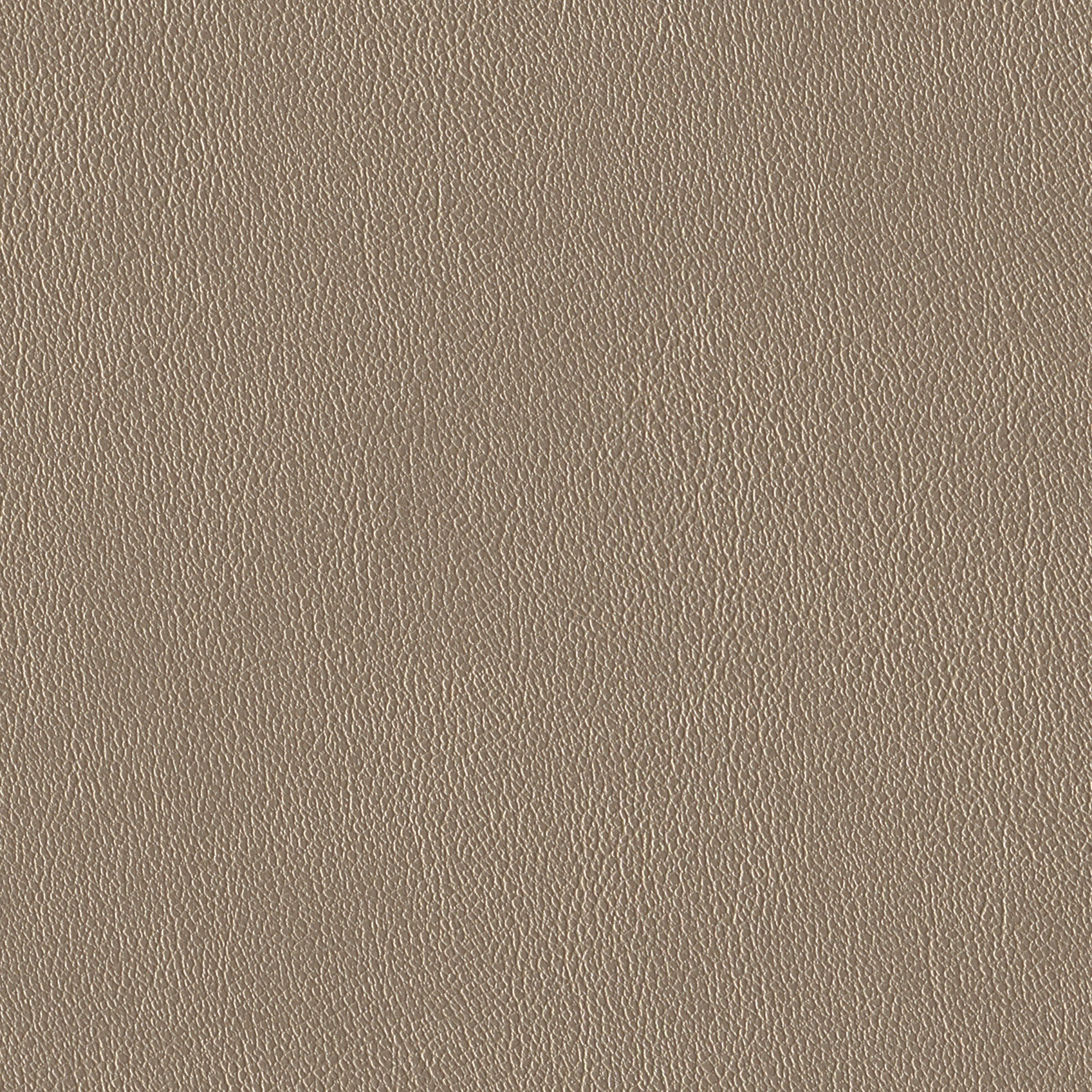 Andriali-Contract-Vinyl_Upholstery-Design-WesternFR5-Color-017Champagne-Width-140cm