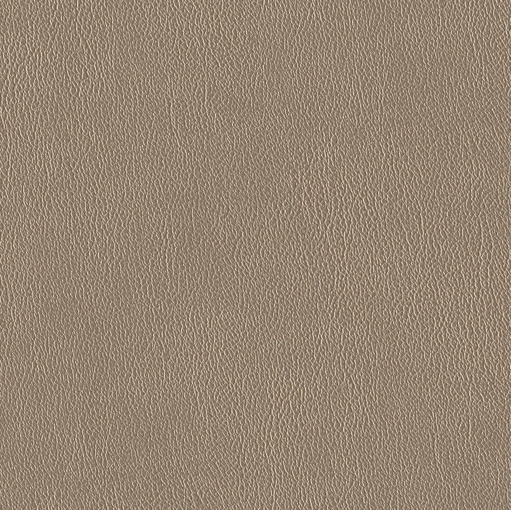 Andriali-Contract-Vinyl_Upholstery-Design-WesternFR5-Color-017Champagne-Width-140cm