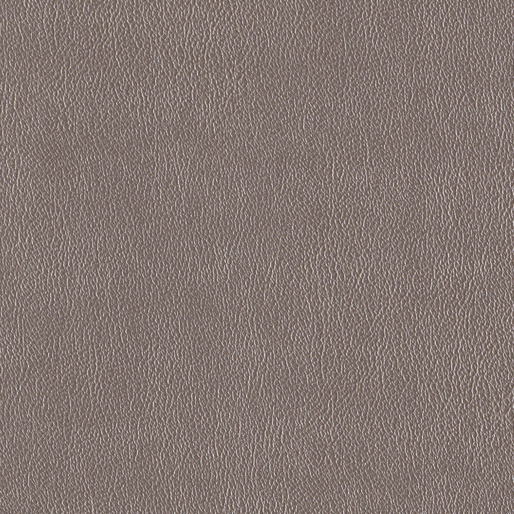 Andriali-Contract-Vinyl_Upholstery-Design-WesternFR5-Color-150Platinum-Width-140cm