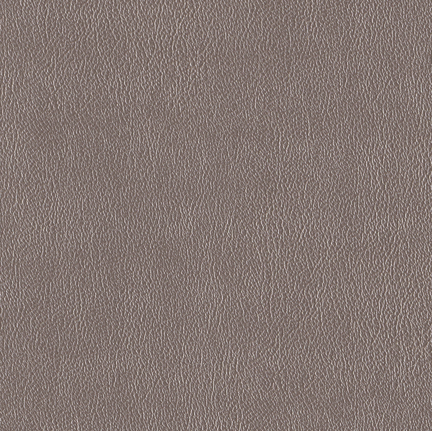 Andriali-Contract-Vinyl_Upholstery-Design-WesternFR5-Color-150Platinum-Width-140cm