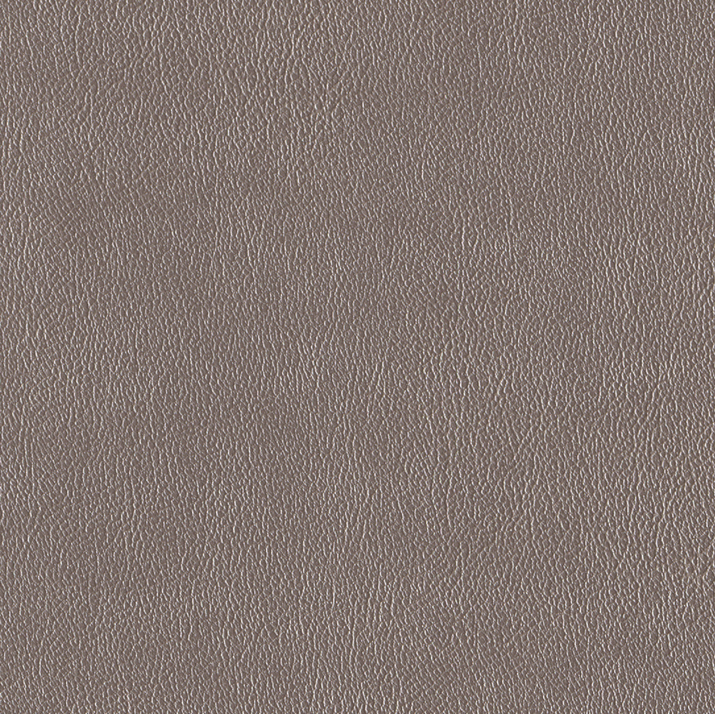 Andriali-Contract-Vinyl_Upholstery-Design-WesternFR5-Color-150Platinum-Width-140cm